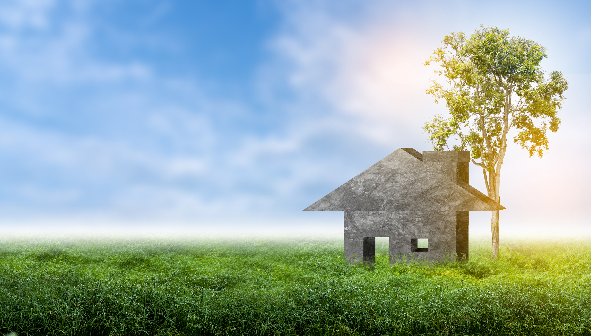 House with finances on the grass and bright green trees.