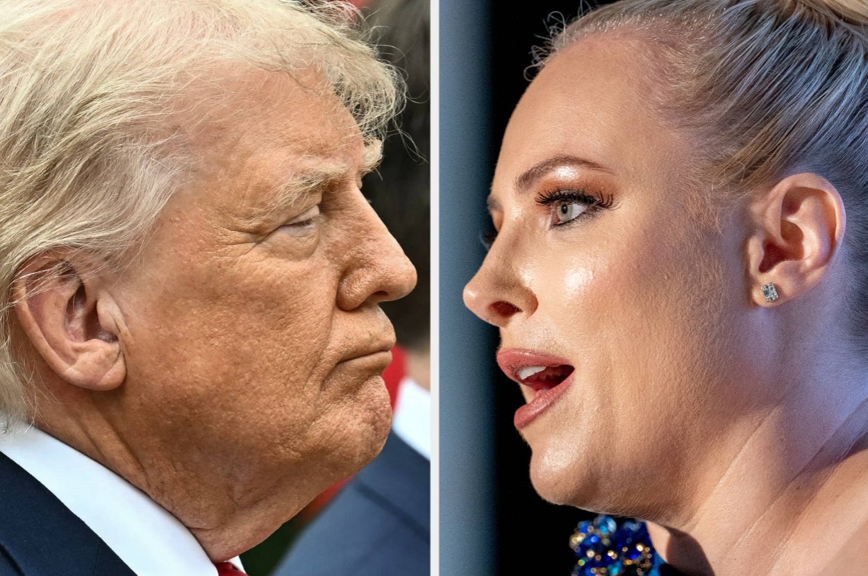 Meghan McCain is warning the GOP about 1 brilliant card Dems might play in 2028