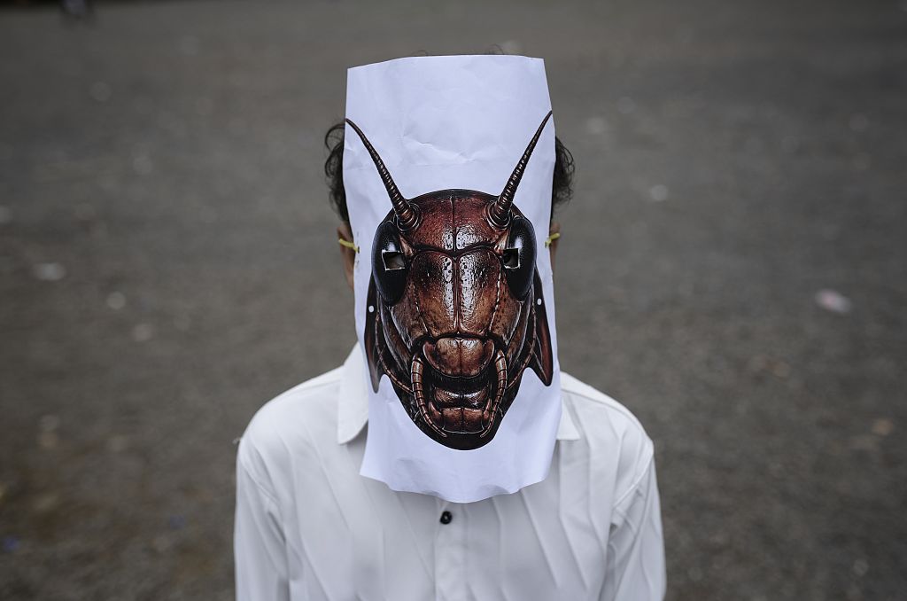 What Is the Youth-Led ‘Cockroach Movement’ Staging Mass Protests in India?