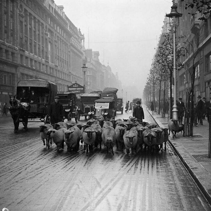 Snapshots Of Another Time: 44 Important Historical Images With More To Say