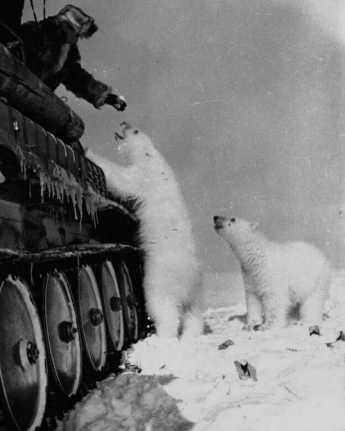 Snapshots Of Another Time: 44 Important Historical Images With More To Say