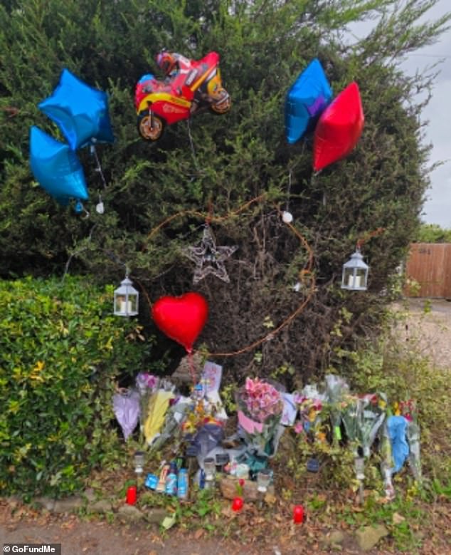 Emergency services were called to Chilwell Lane in Bramcote, Nottinghamshire, at around 10am on September 28 last year. Pictured: Tributes left at the scene