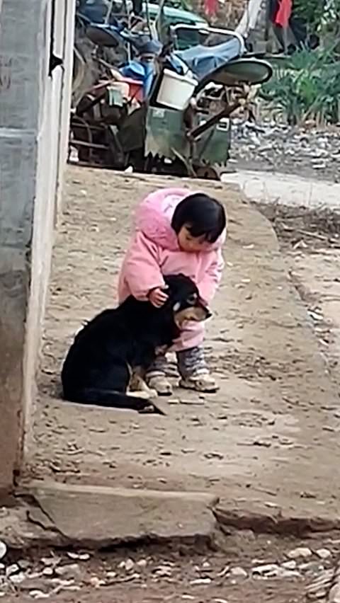 Little girl shields dog’s ears from firecrackers