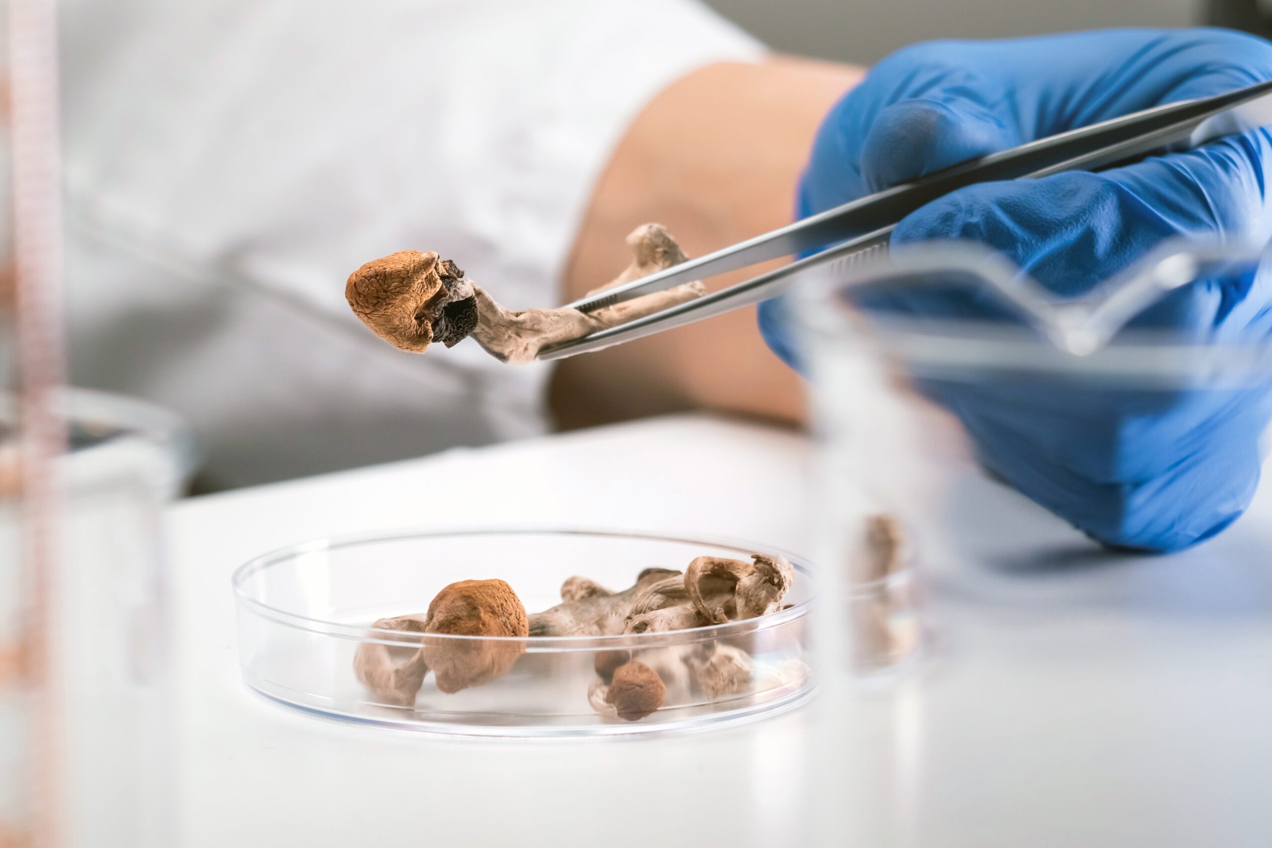One magic mushroom dose can change the way your brain works – for the better