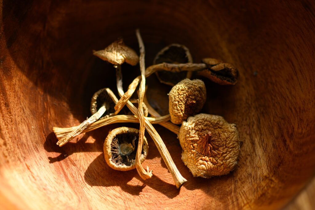 One magic mushroom dose can change the way your brain works – for the better