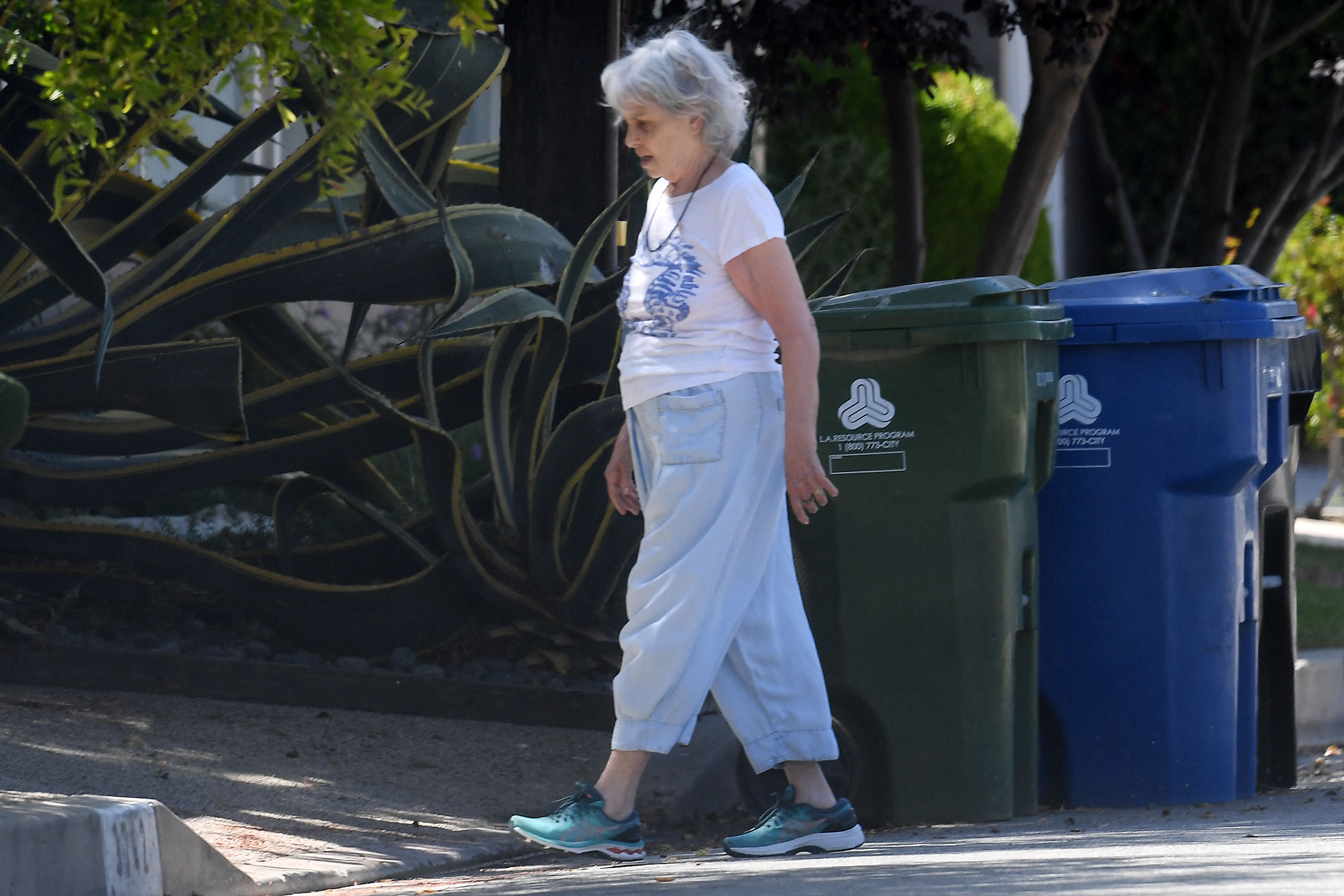 ’70s actress looks unrecognizable during L.A. outing: photos