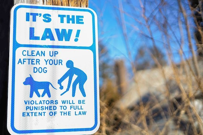 Pet Poop Rules And Regulations Gettyimages 1372063368
