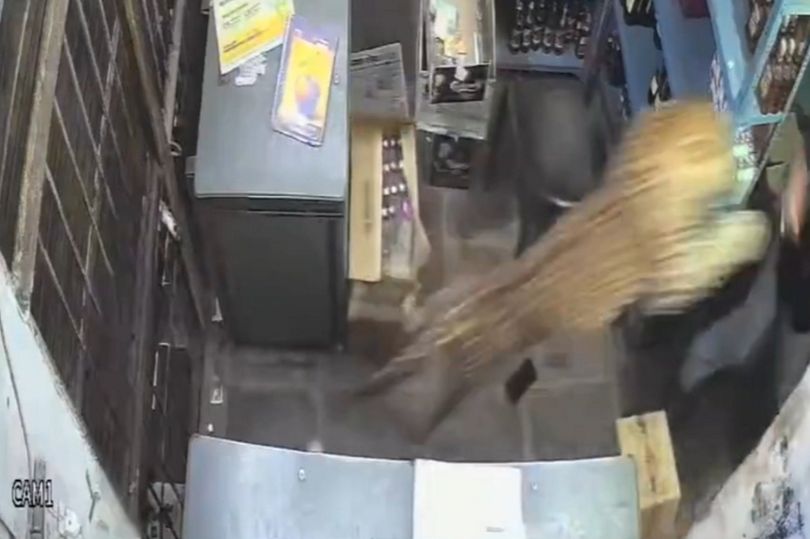 Leopard barrels into liquor store and pounces on cashier in shocking attack