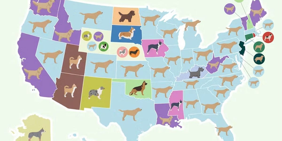 This Map Shows the Top Dog Breed in Every State