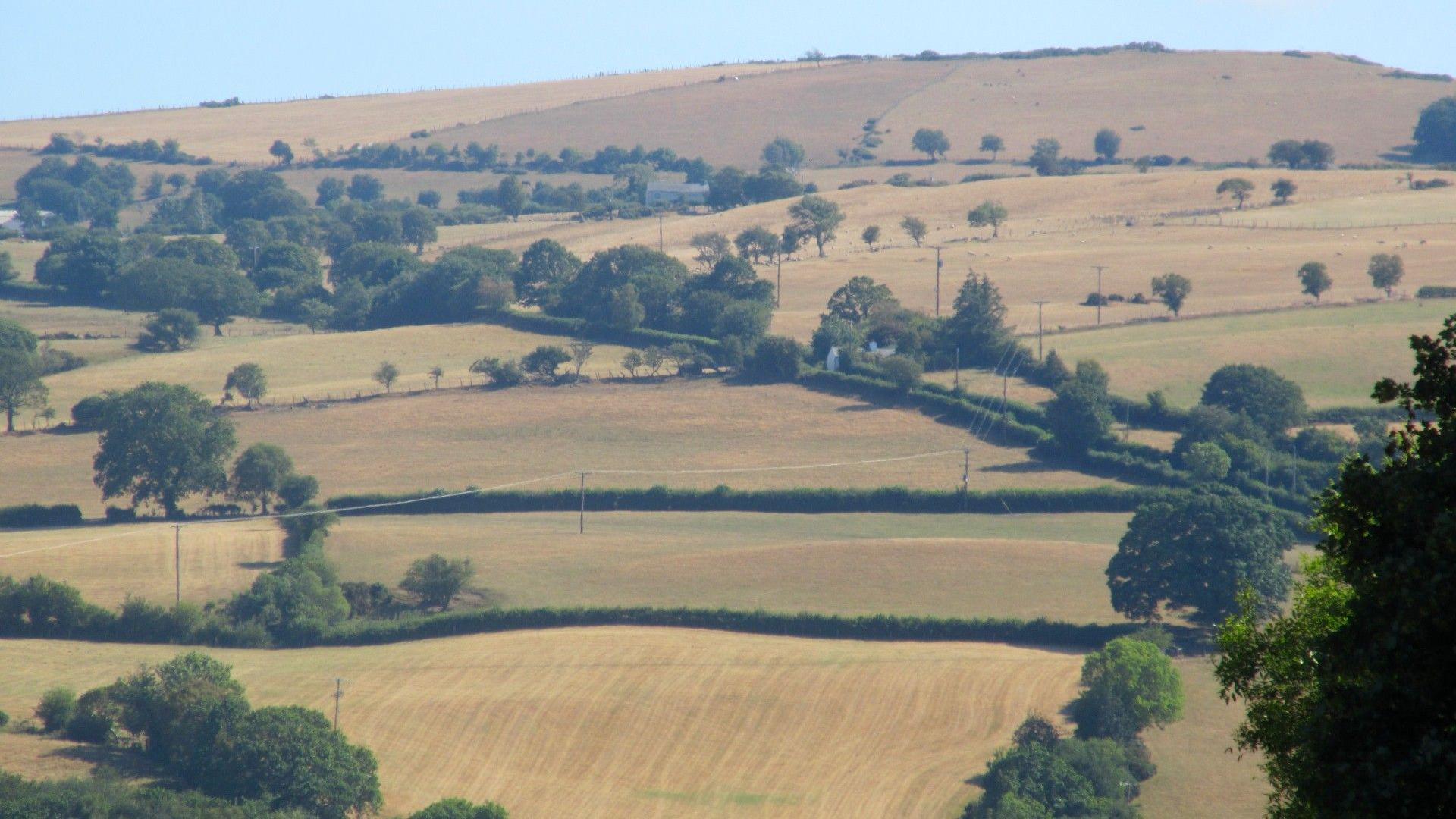 Farming unions have warned of failing crops and heat-stressed livestock