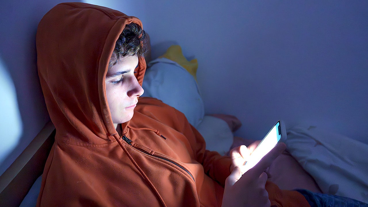Teenager uses a smartphone while in bed.