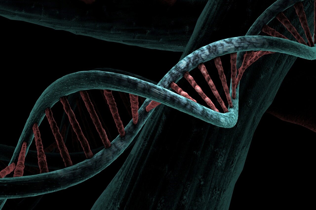 New tool uncovers overlooked disease-linked genes by accounting for ancestry and family ties