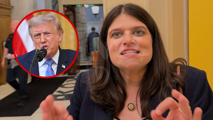 Rep. Haley Stevens Defends 'Stick It to 'Em' Campaign Ad As 'Authentically Michigan'