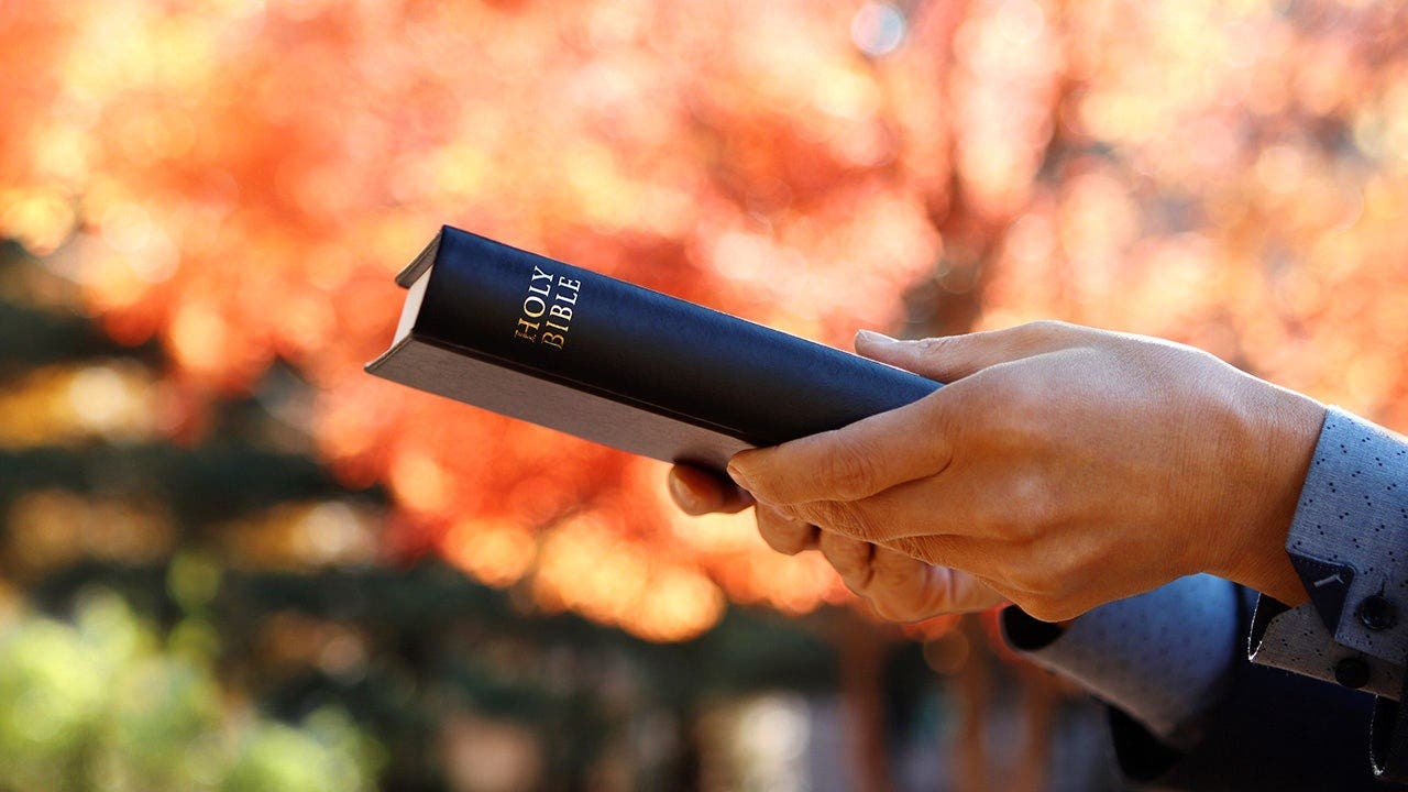 Stock image of person holding Bible outdoors in autumn.