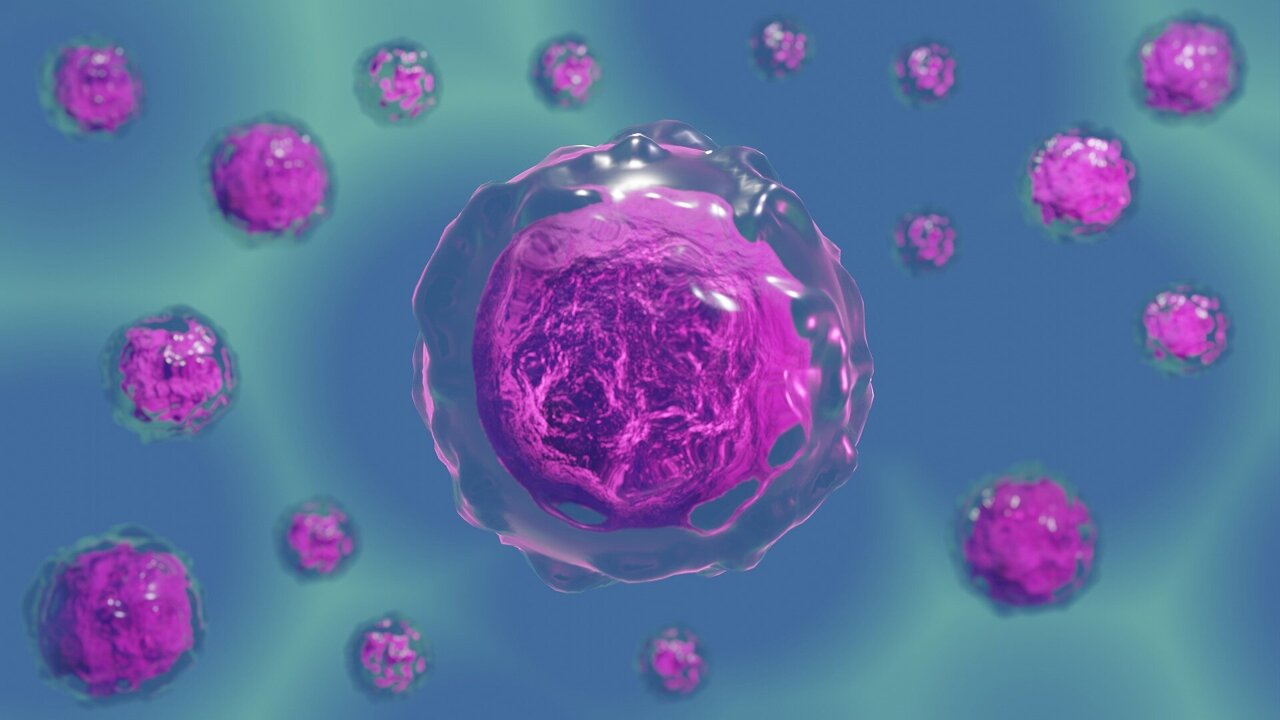 Gut immune cells may help explain how B-cell depletion controls MS