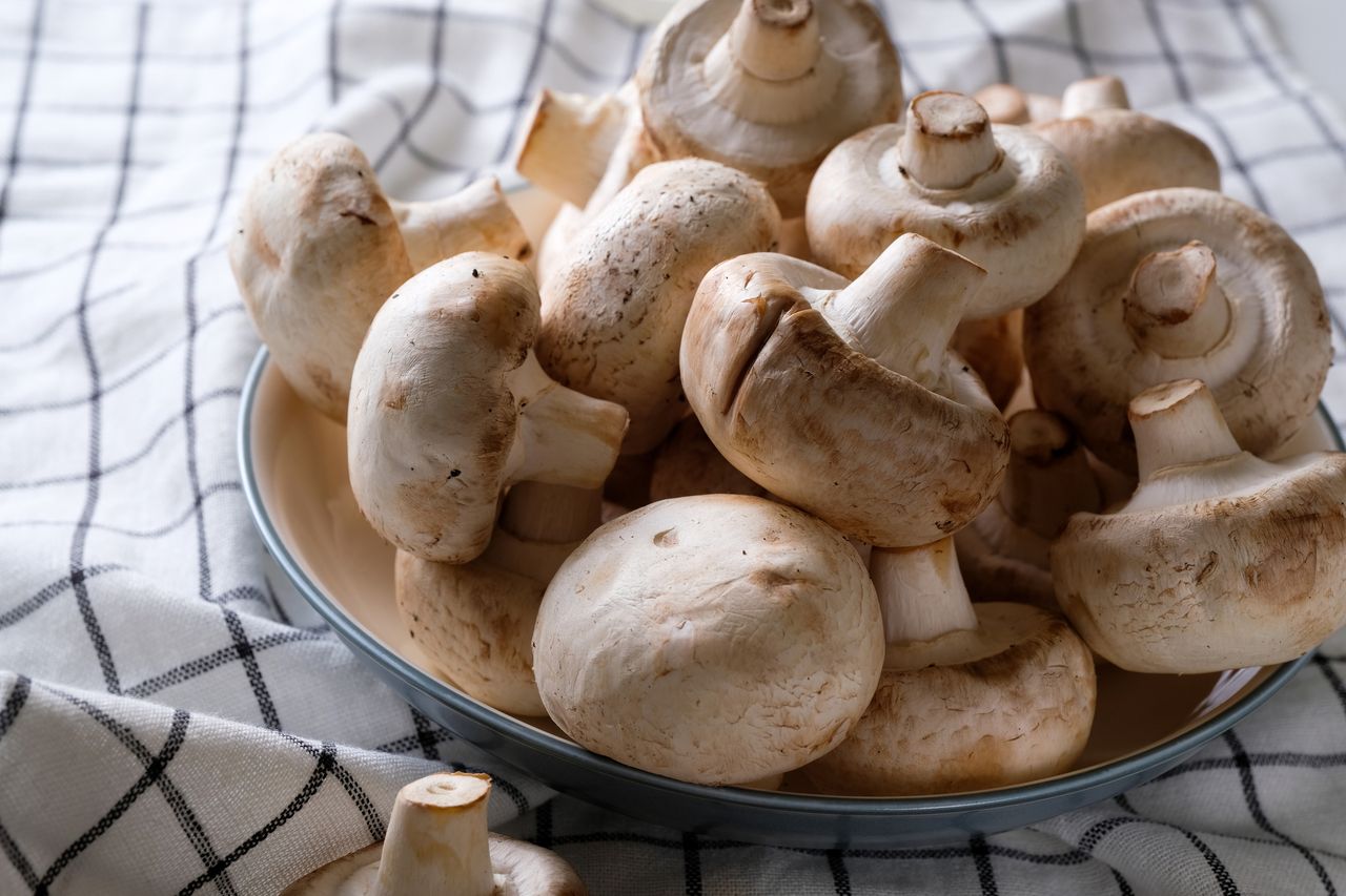A bunch of whole raw fresh mushrooms on a plate
