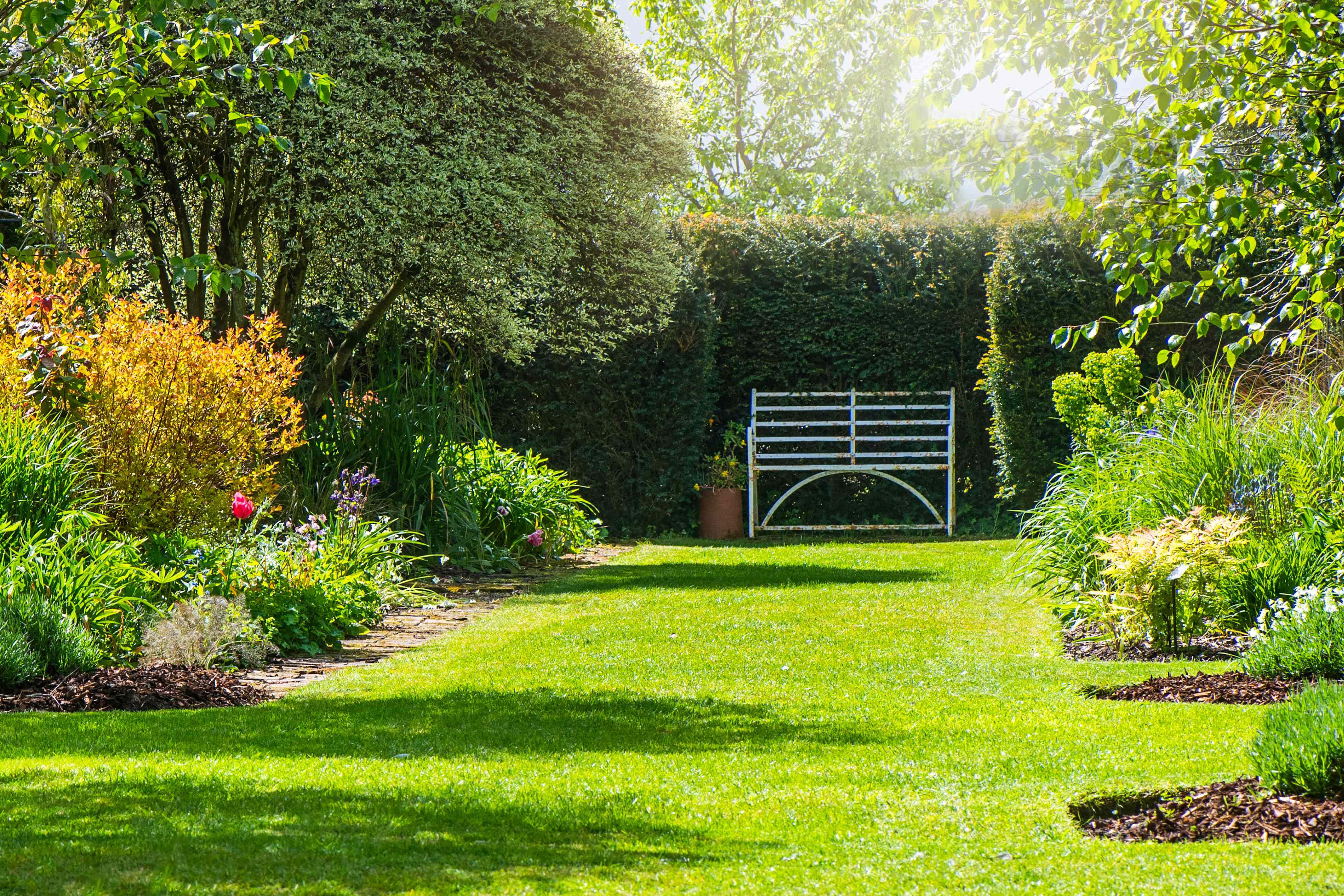 What happens if you don’t aerate your lawn? Experts weigh in