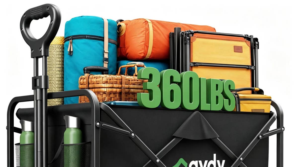 gvdv-collapsible-wagon-with-360-pound-limit