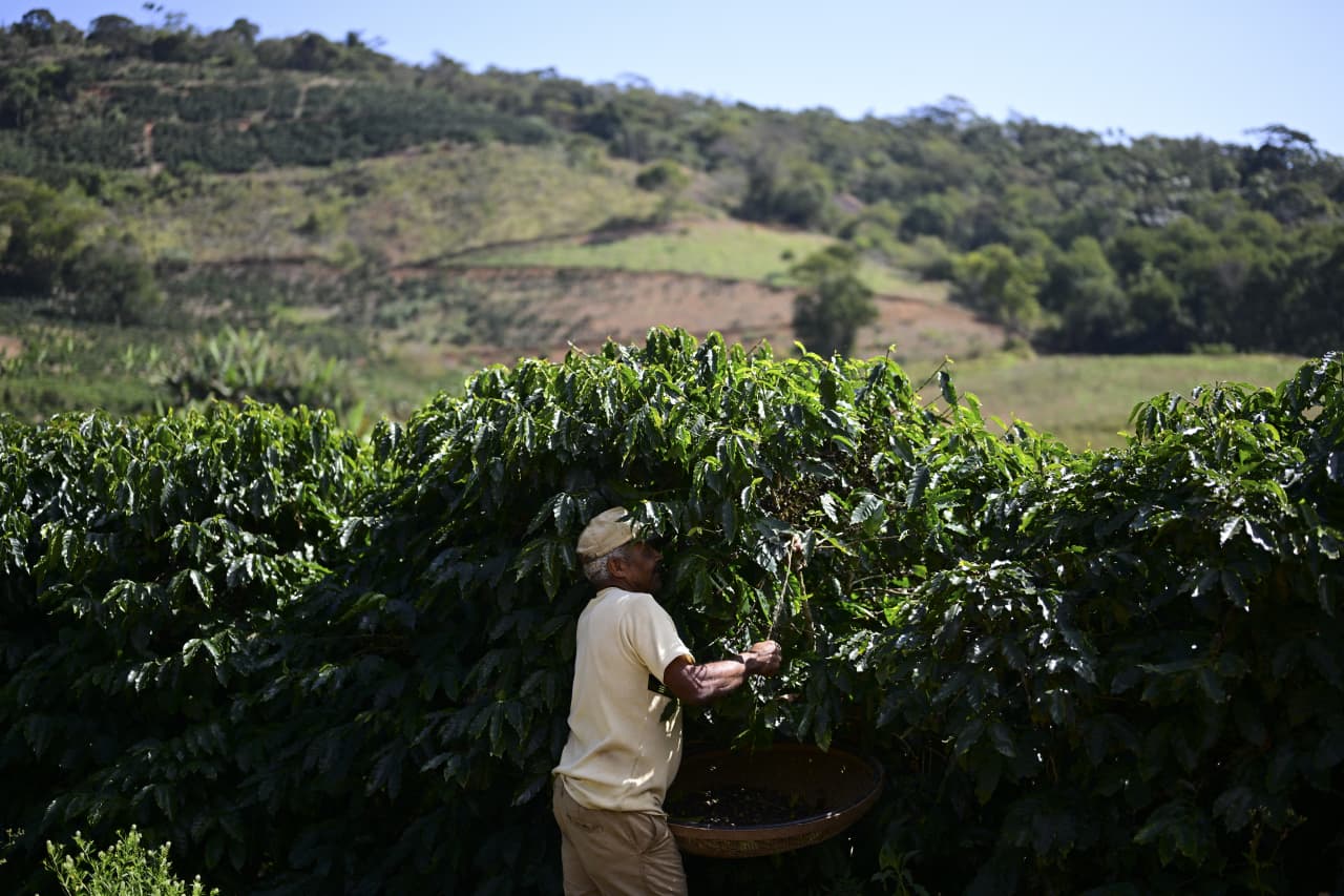 Trump’s New Brazil Tariffs Spare the Grocery Aisles—for Now