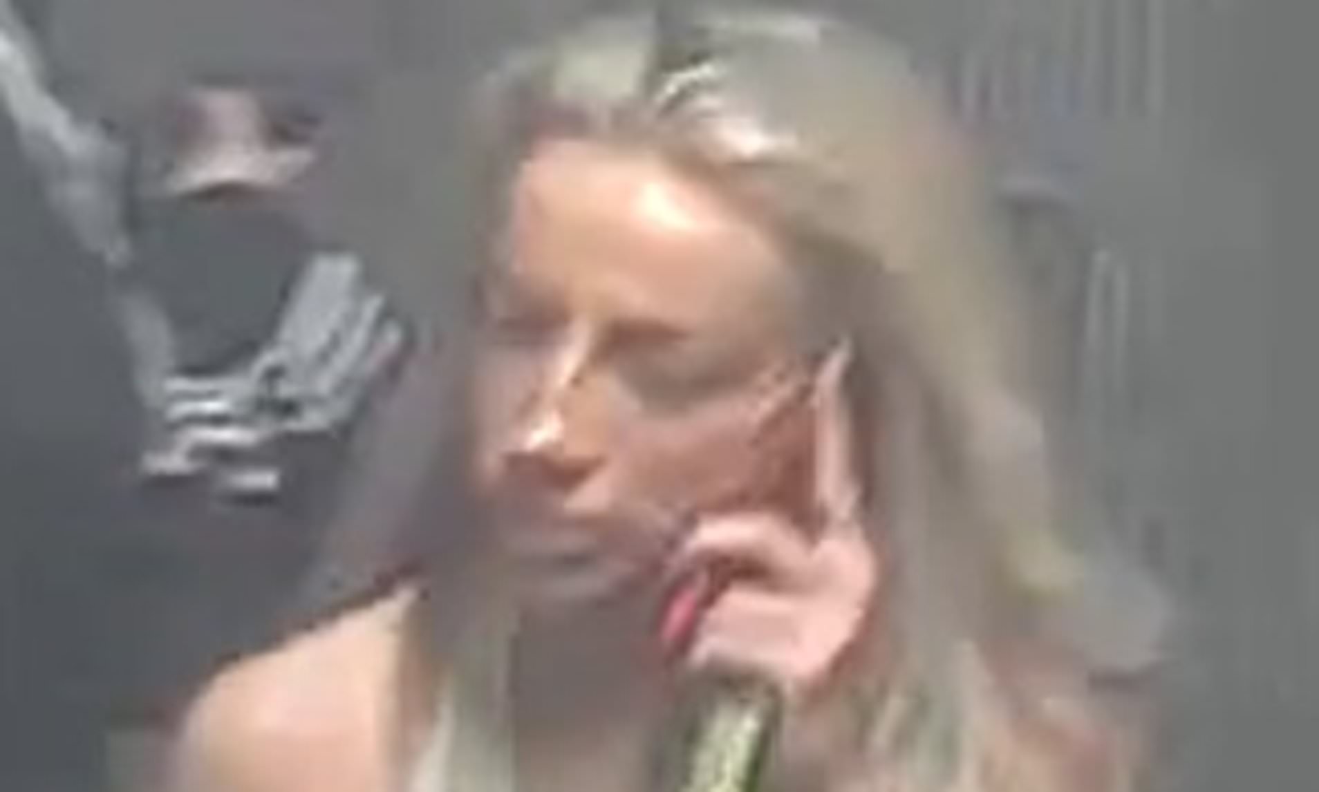 Woman wanted after two train passengers are slapped on a late-night service