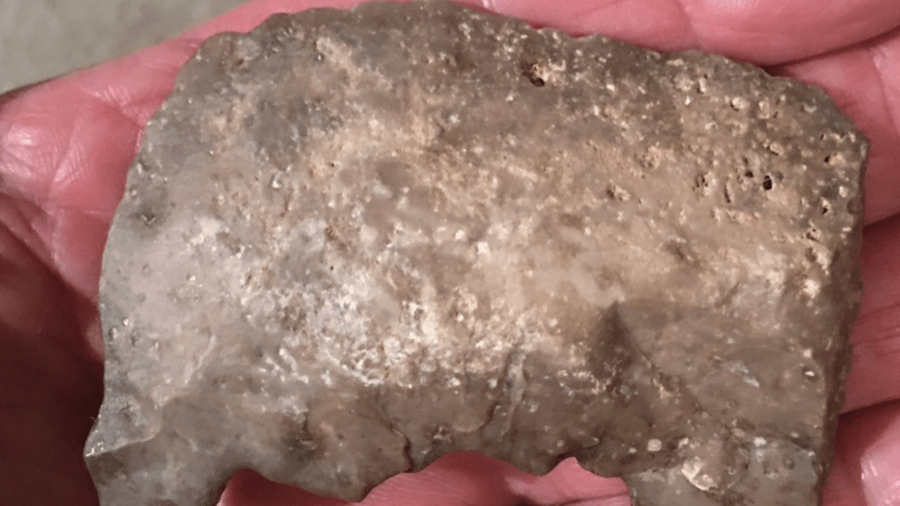 First Paleo Story Stone Effigy that Richard Dempsey discovered at Harvard Hill, Mojave Desert, Southern California in October of 2020.