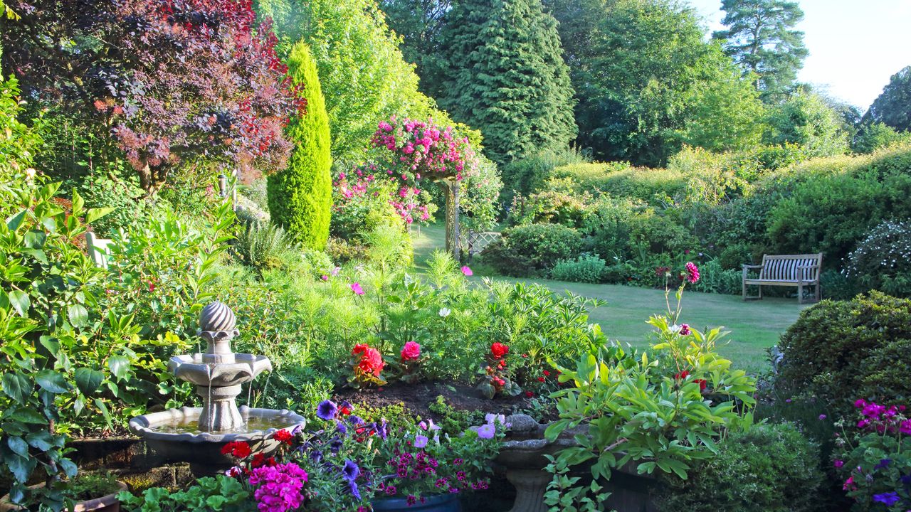 7 flowers to surround your bird bath – for a joyful backyard sanctuary that wildlife will adore