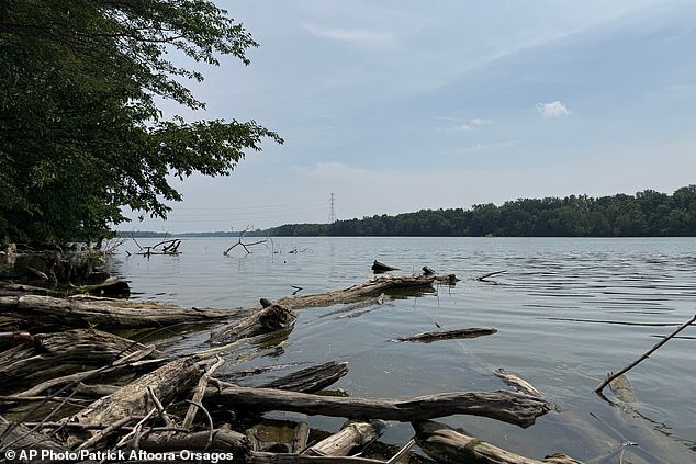 Officials have previously said that a group had been fishing in the Scioto River in Powell, Ohio, when one of the adults began to struggle in the water, and the others dove in to help