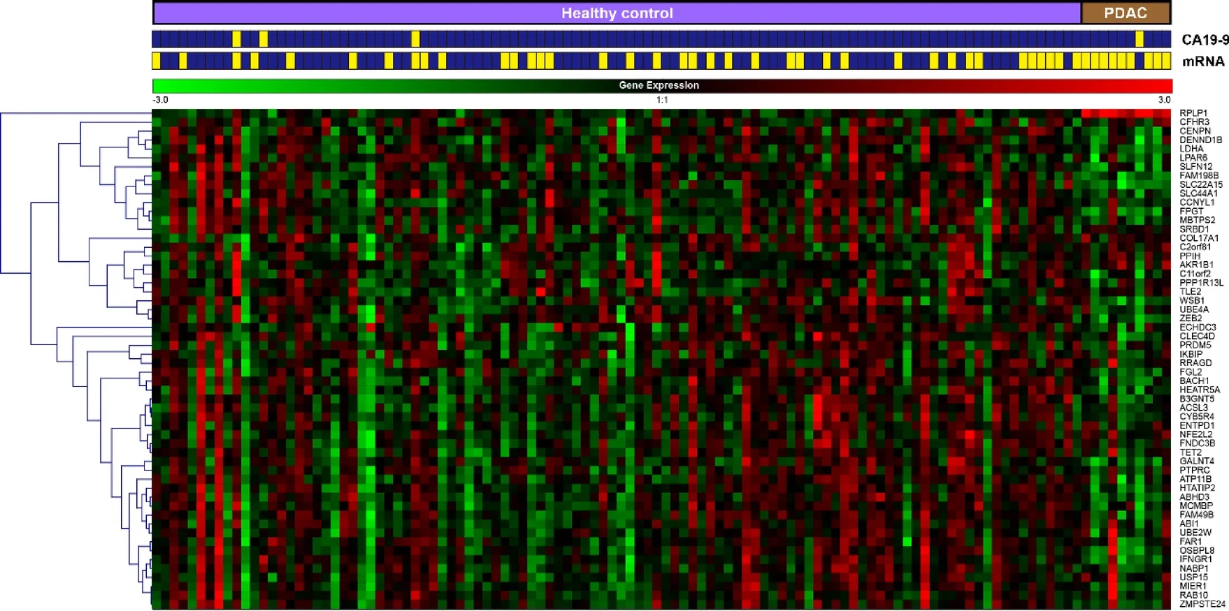 Heatmap of whole-blood expression profiles of the 56-gene panel in 10 patients with pancreatic ductal adenocarcinoma (PDAC) and 104 healthy controls (HCs). (CREDIT: Scientific Reports)