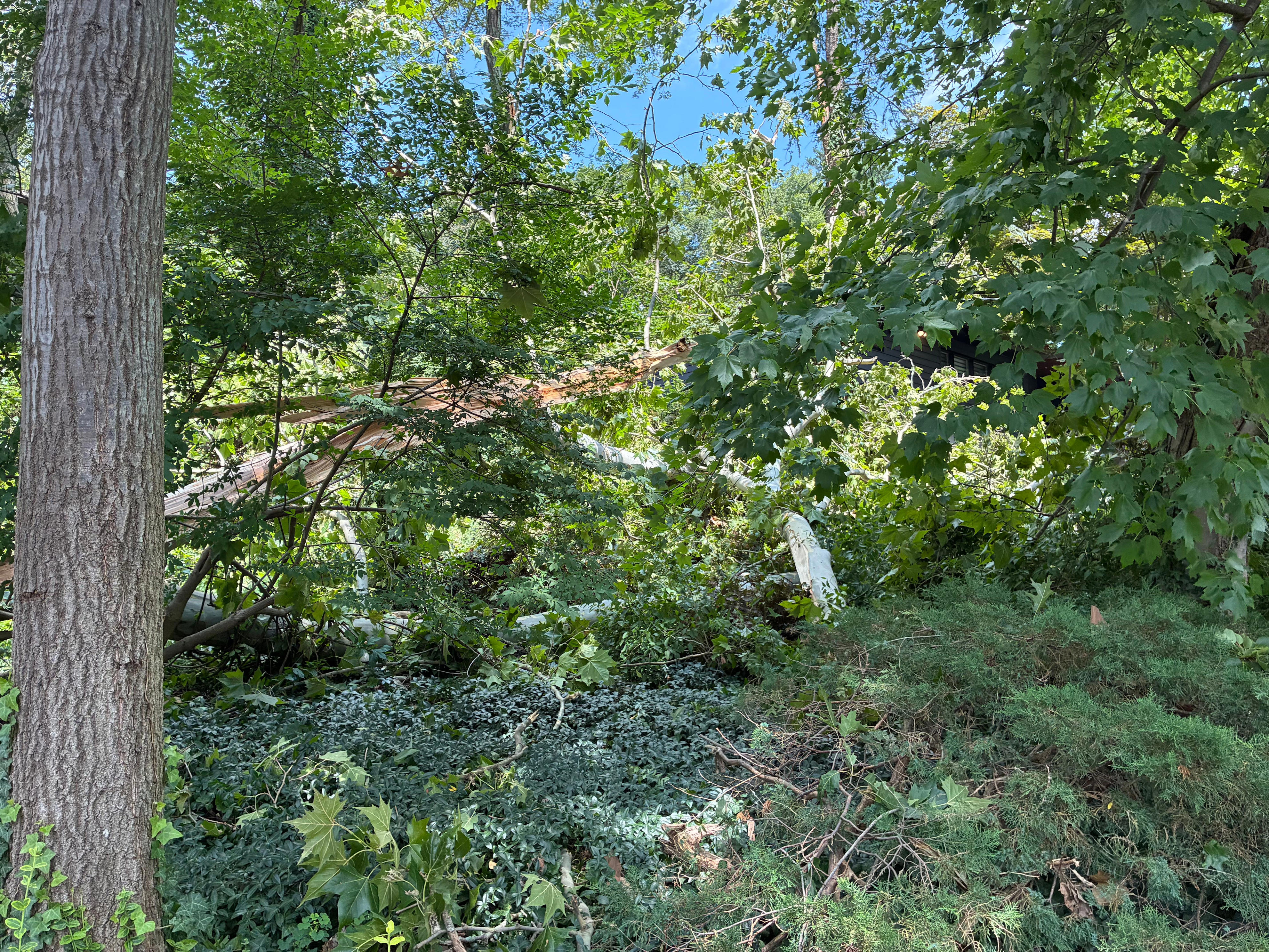 Views of the Country Ridge Drive neighborhood in Rye Brook that experienced heavy storm damage Tuesday, July 21, as photographed July 22. The National Weather Service was investigating whether or not a tornado had actually touched down in the area.
