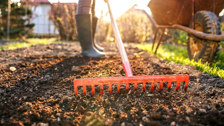 Bow rake vs leaf rake: What's the difference?