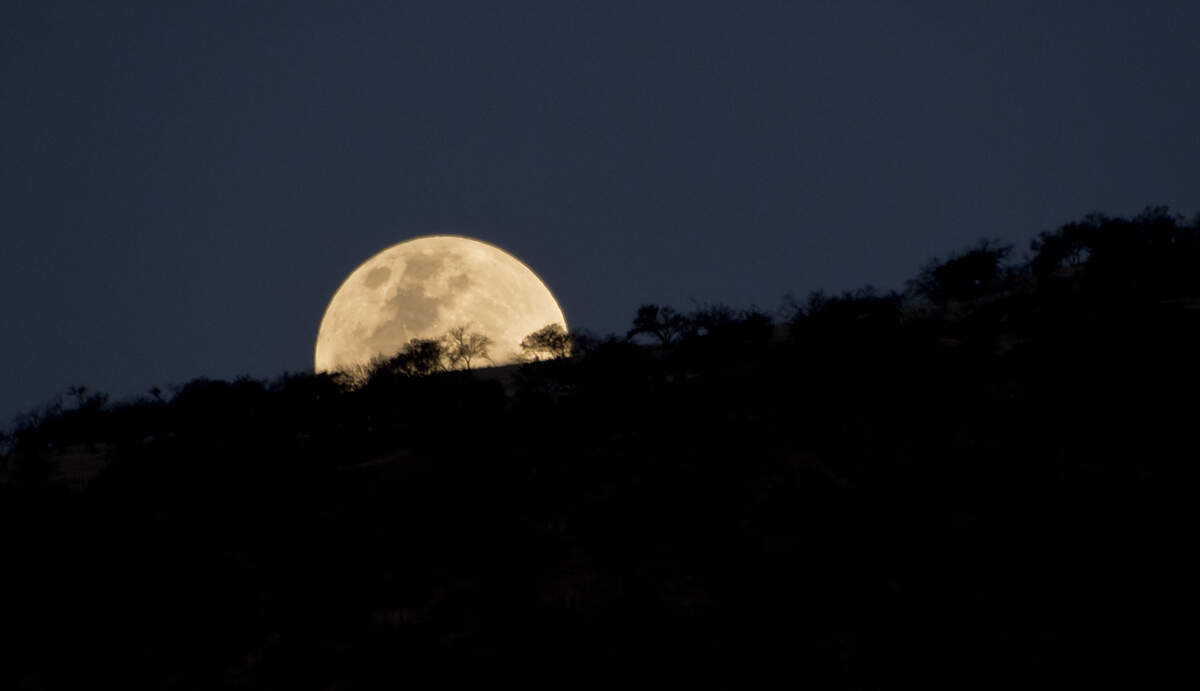 What is your chronotype? How your sleep type shapes your energy, focus and daily routine