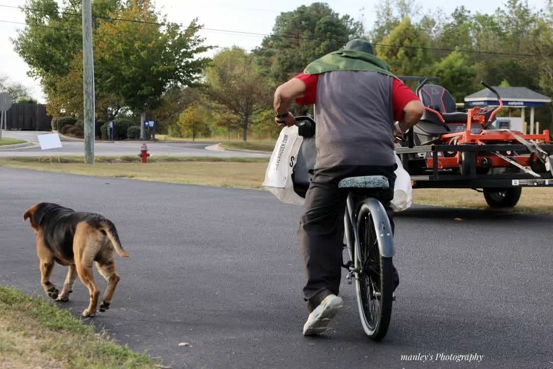 Rocky Mount rallies behind dog after owner's death