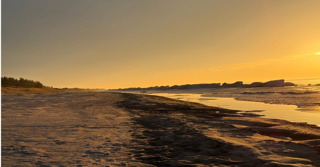 Golden sunset illuminating the sandy shoreline of Nordhouse Dunes in Michigan.