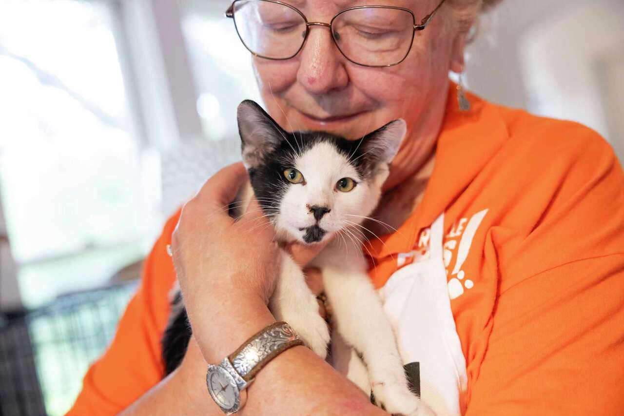 Your pet's next prescription could come from CVS under new nationwide service