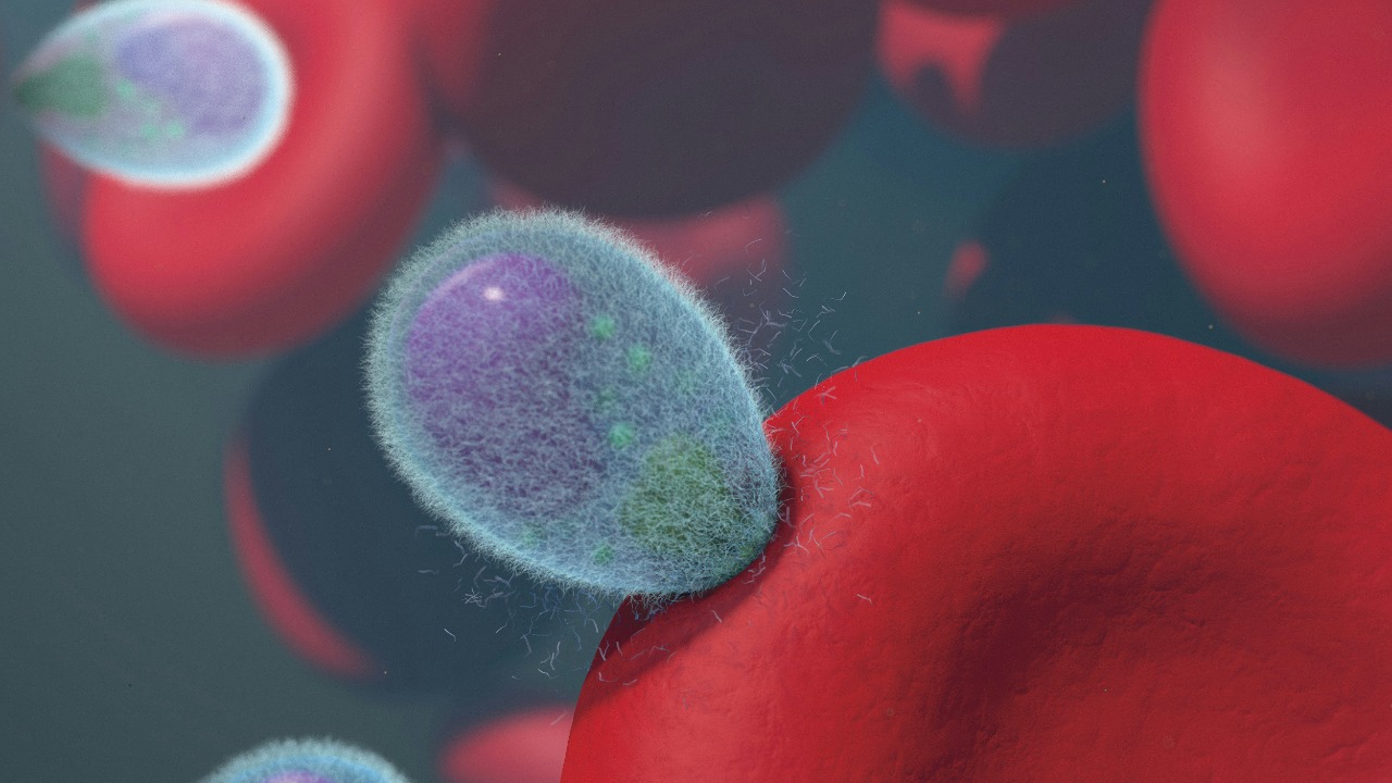 A parasite is fueling an 'explosive' diarrhea outbreak now confirmed across 31 states