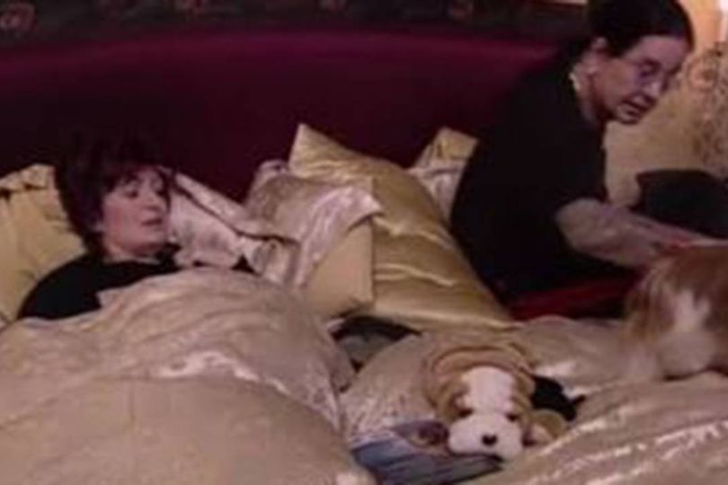 Ozzy often fumed about the dogs