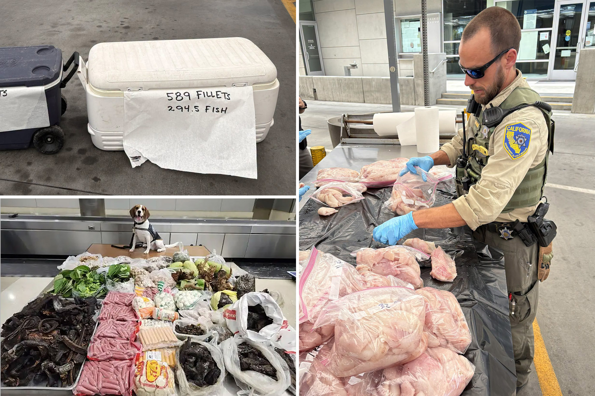Cops make wild discovery inside LAX suitcase coming from Thailand