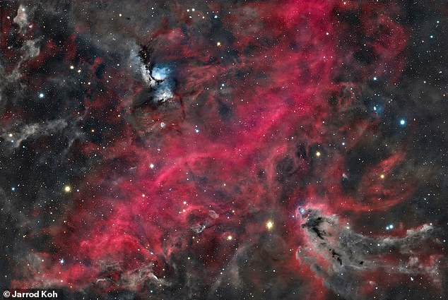 The winner of the Wide-Field category was Jarrod Koh's 'The Dividing Line', featuring the Orion Molecular Cloud Complex
