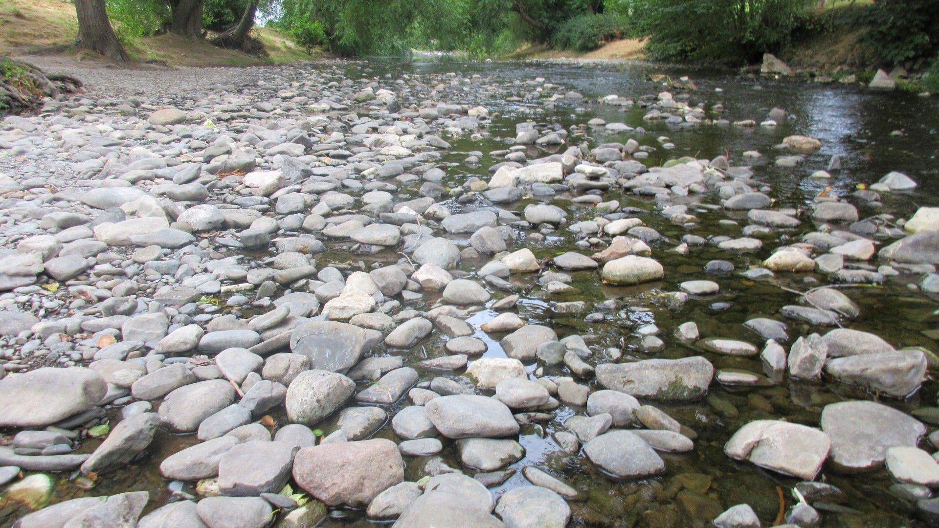 The river Elwy in Denbighshire is among those running low