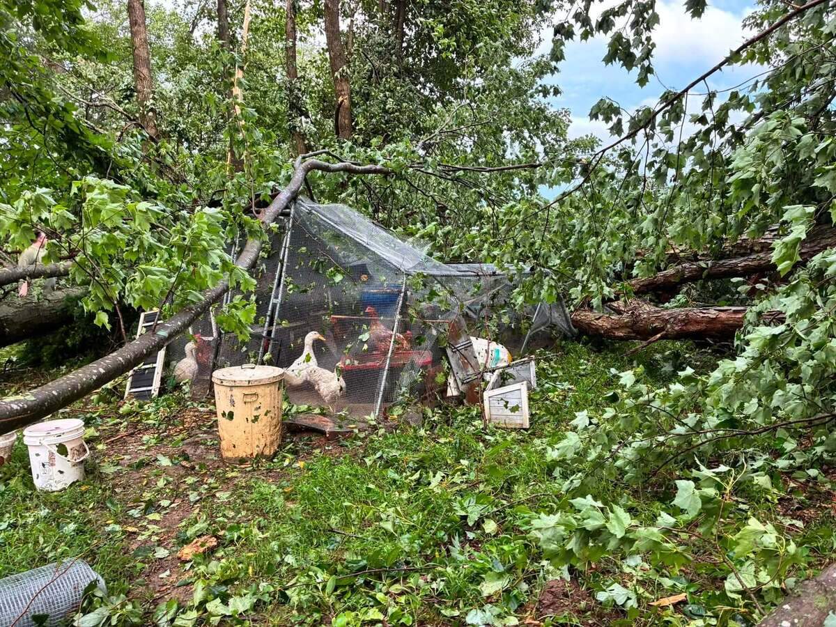 Kentucky had 4 tornadoes during severe storms, National Weather Service says