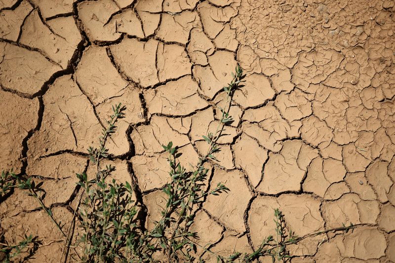 Mudanças climáticas agravam a seca em toda a Europa, afirmam cientistas