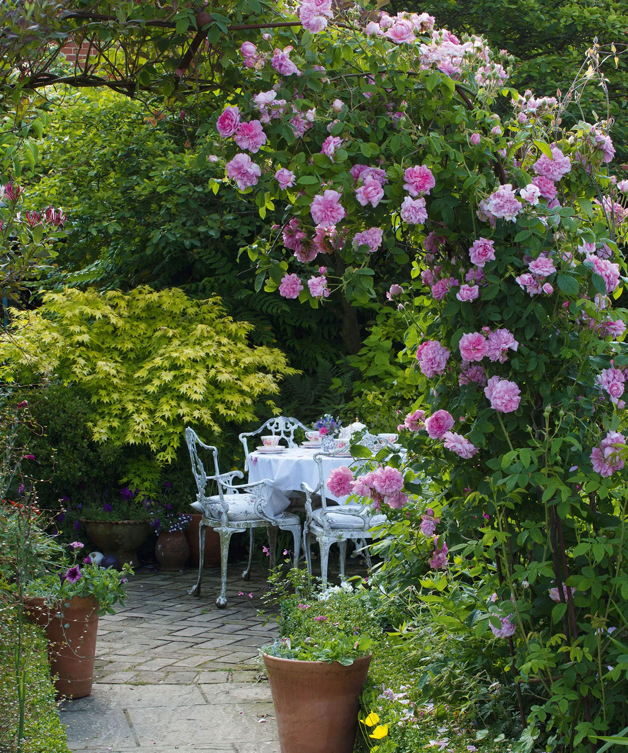 bench with rose arch