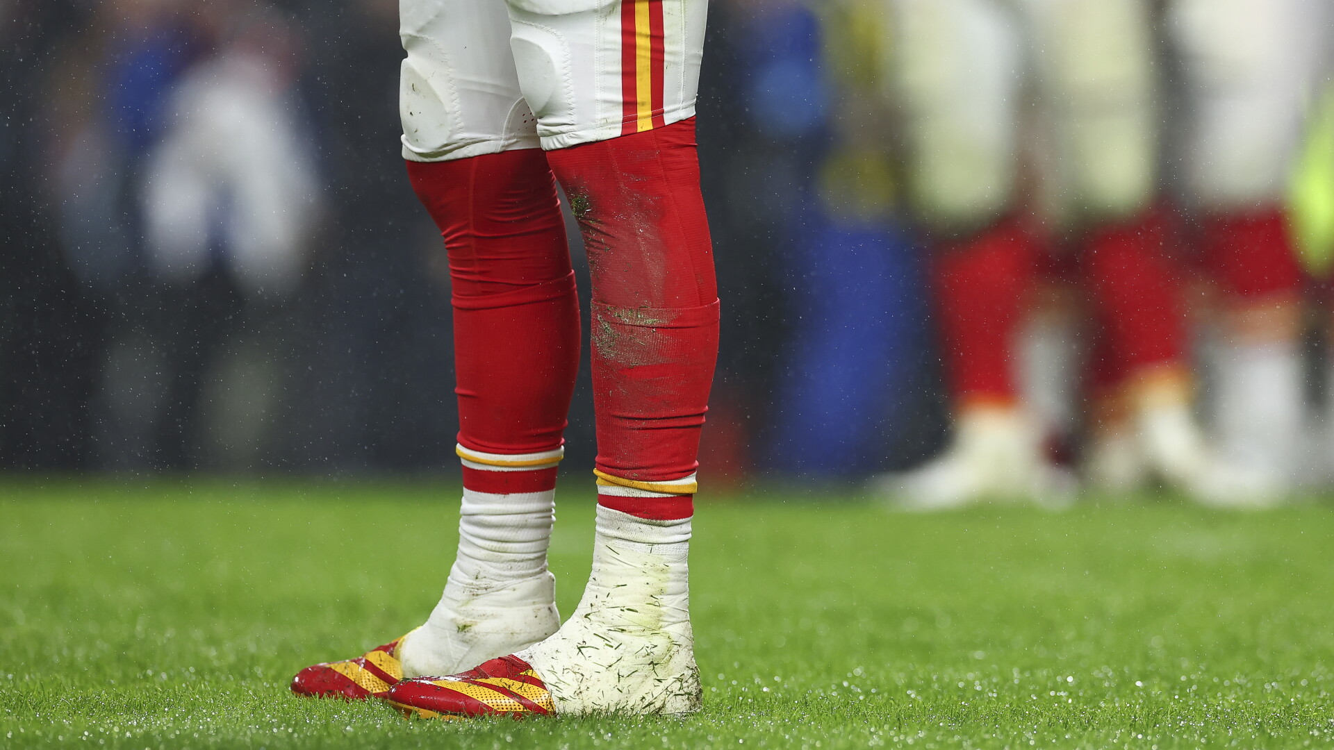 Will the Chiefs' new stadium have grass? No decision has been made.