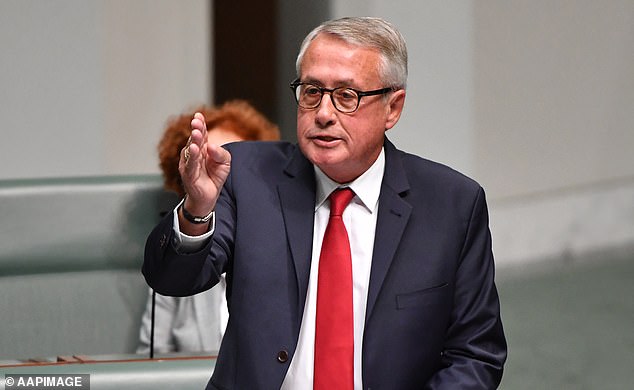 Wayne Swan (pictured) will declare that One Nation is Labor's largest political rival