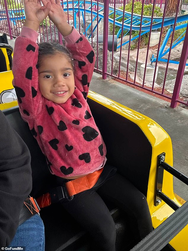 911 calls initially said the little girl was missing and may have drowned, only for callers to later say that the girl had been found and that members of the public were performing CPR on her