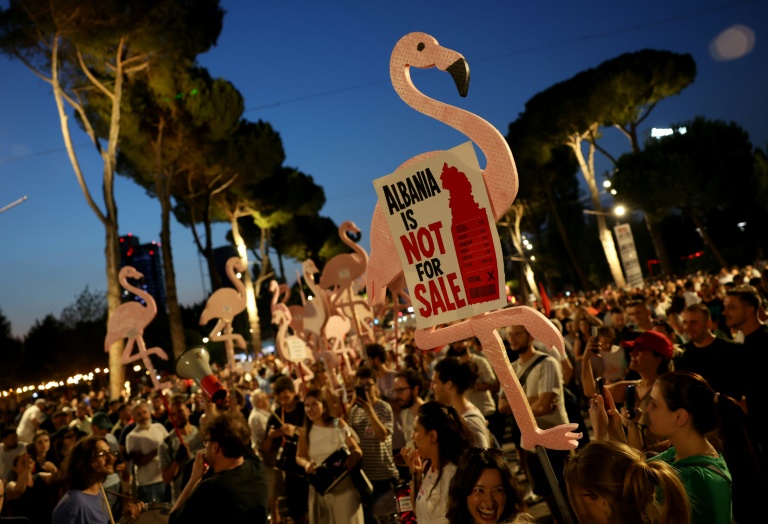 Flamingos have become the symbol of the protests