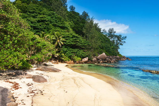 Đảo Praslin. Ảnh: Reuters