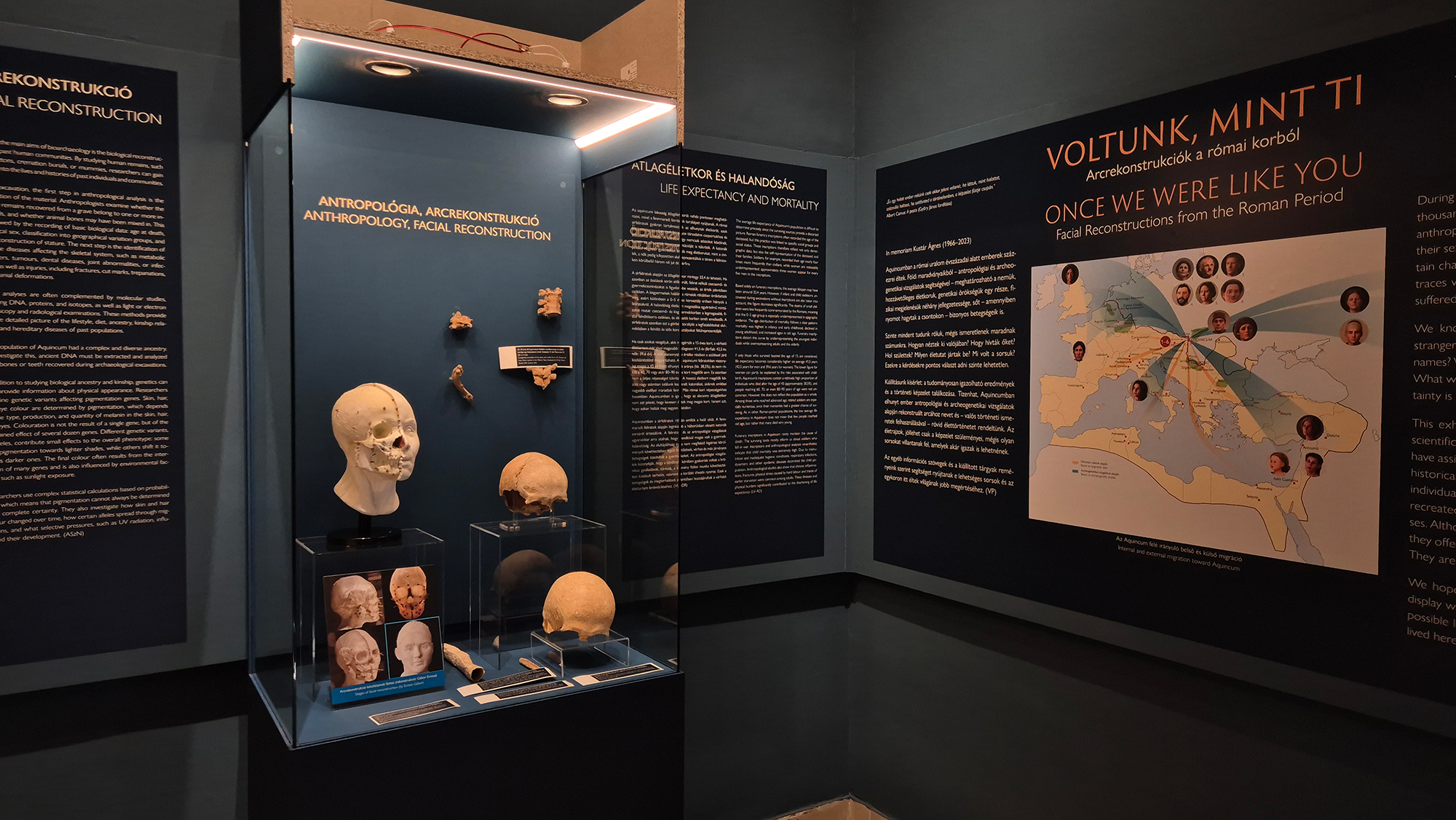 A glass display case is seen holding several skulls