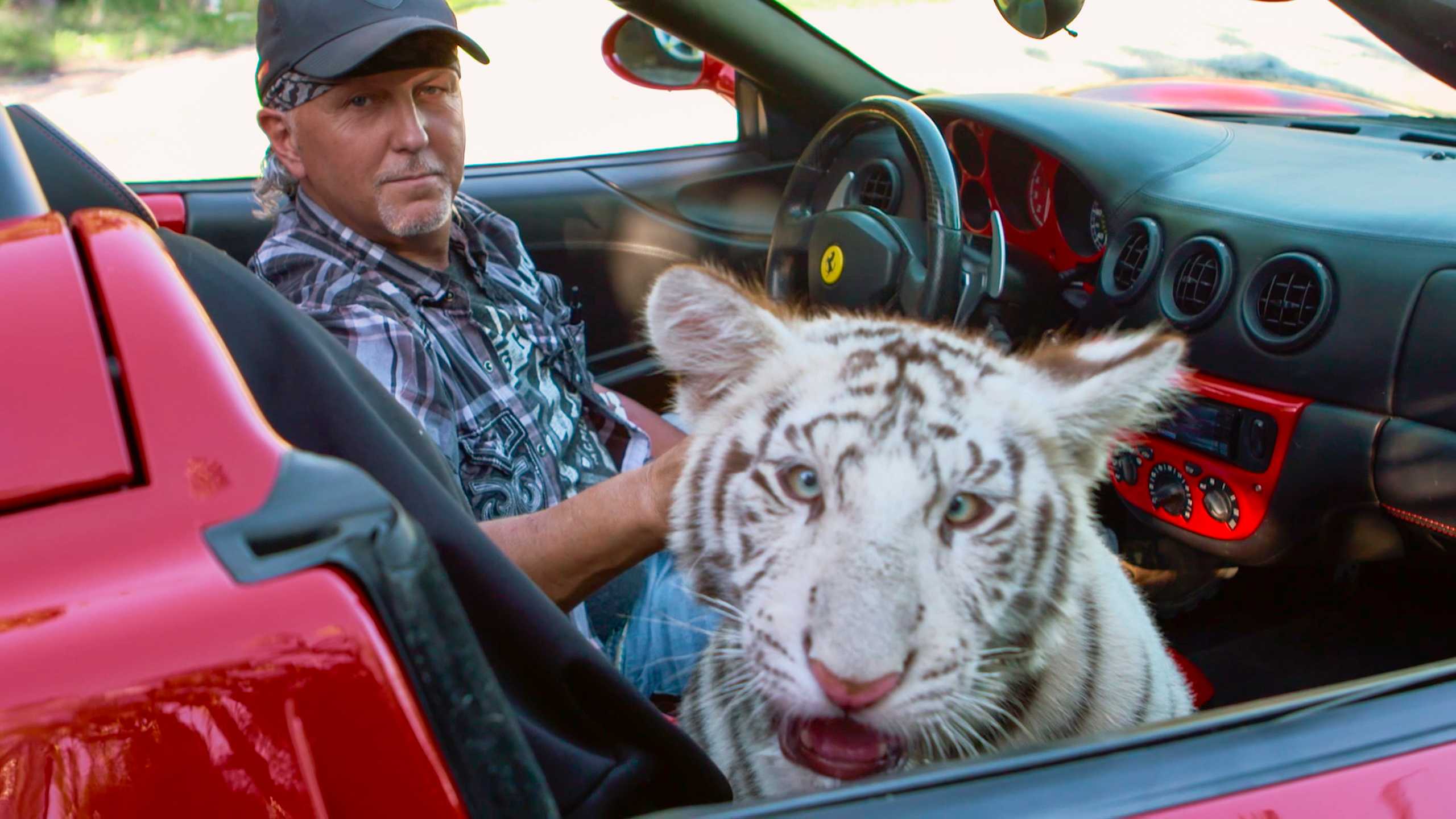 Tiger King still featuring Tim Stark in a convertible with a white tiger.