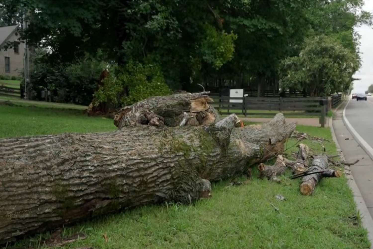Couple killed by fallen tree neighbors had flagged as dangerous for months while driving home from dinner